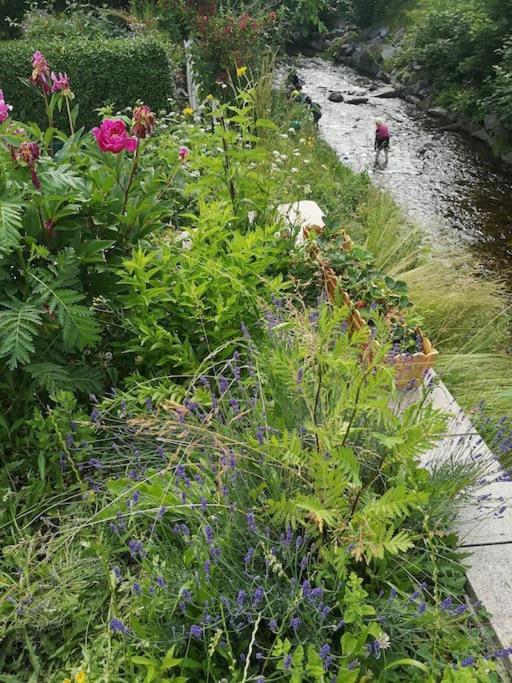 Guenstige, Schoene Ferienwohnung Im Wanderparadies Wernigerode Zewnętrze zdjęcie